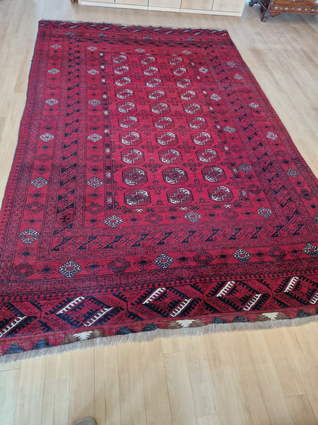 Afghan