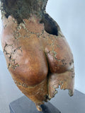 Morel Philippe