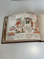 Codex 1164
