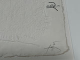 Tapies Antoni