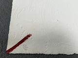 Tapies Antoni