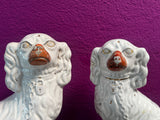 Staffordshire (2 Paar)
