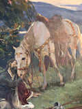 Stoica Ion Dumitrescu