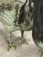 Gänse, gross