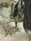 Gänse, gross