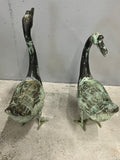 Gänse, gross